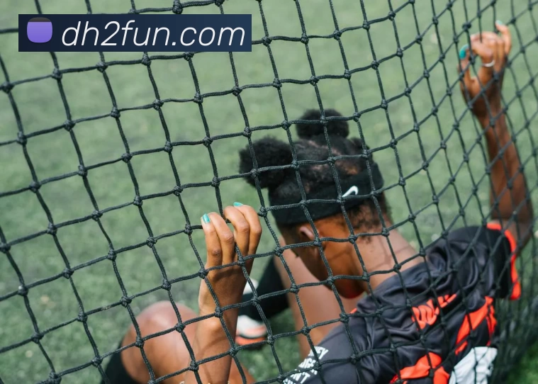 鼎汇2官网服务体系