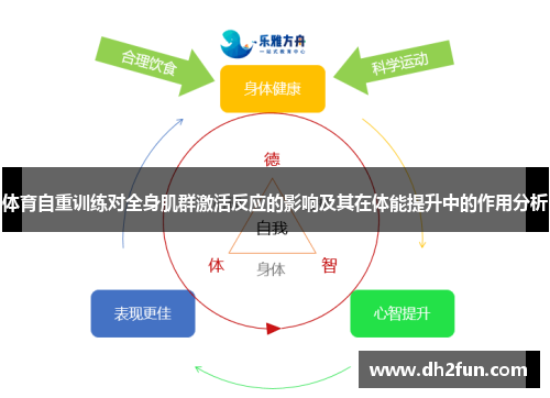 体育自重训练对全身肌群激活反应的影响及其在体能提升中的作用分析